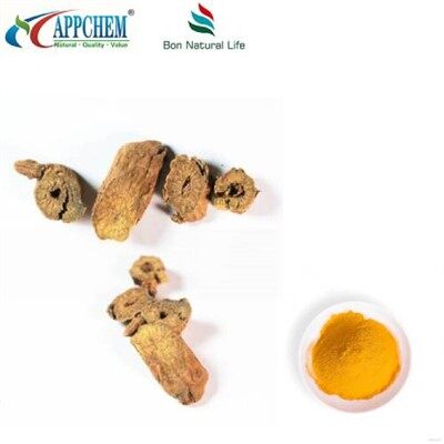 Scutellaria Baicalensis Extract