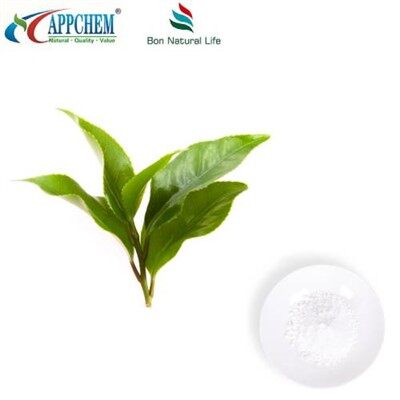 Tè alla vite. Diidromiricetina