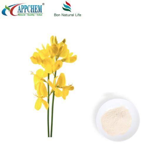 Thermopsis lanceolata R.BR -Extrakt; Cytisin HPLC98% Pulver 485-35-8
