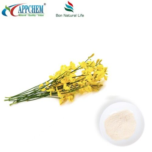 Thermopsis Lanceolata R.Br Extract; Cytisine HPLC98% Powder 485-35-8 factory