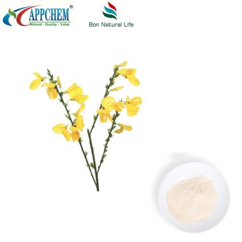 Thermopsis Lanceolata R.Br Extract; Cytisine HPLC98% Powder 485-35-8 suppliers