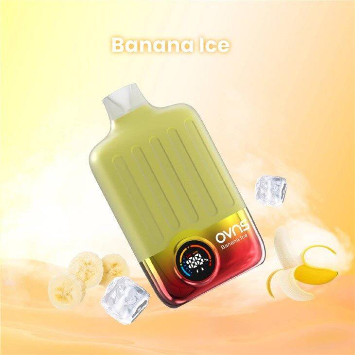 16k Sopla Vaporizador Desechable De Nicotina Pura Con Sabor A Fruta