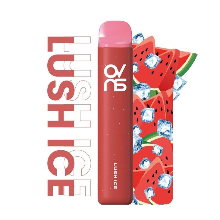 2500 Puffs Fruity Flavor Disposable Vape Pen