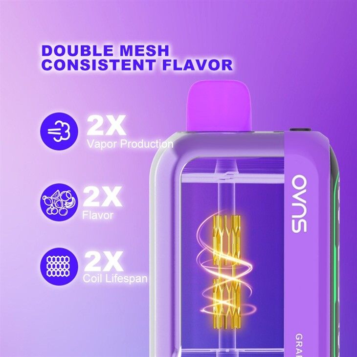 25K Bocanadas Potencia Ajustable Pantallas Digitales Duales Vape Desechable