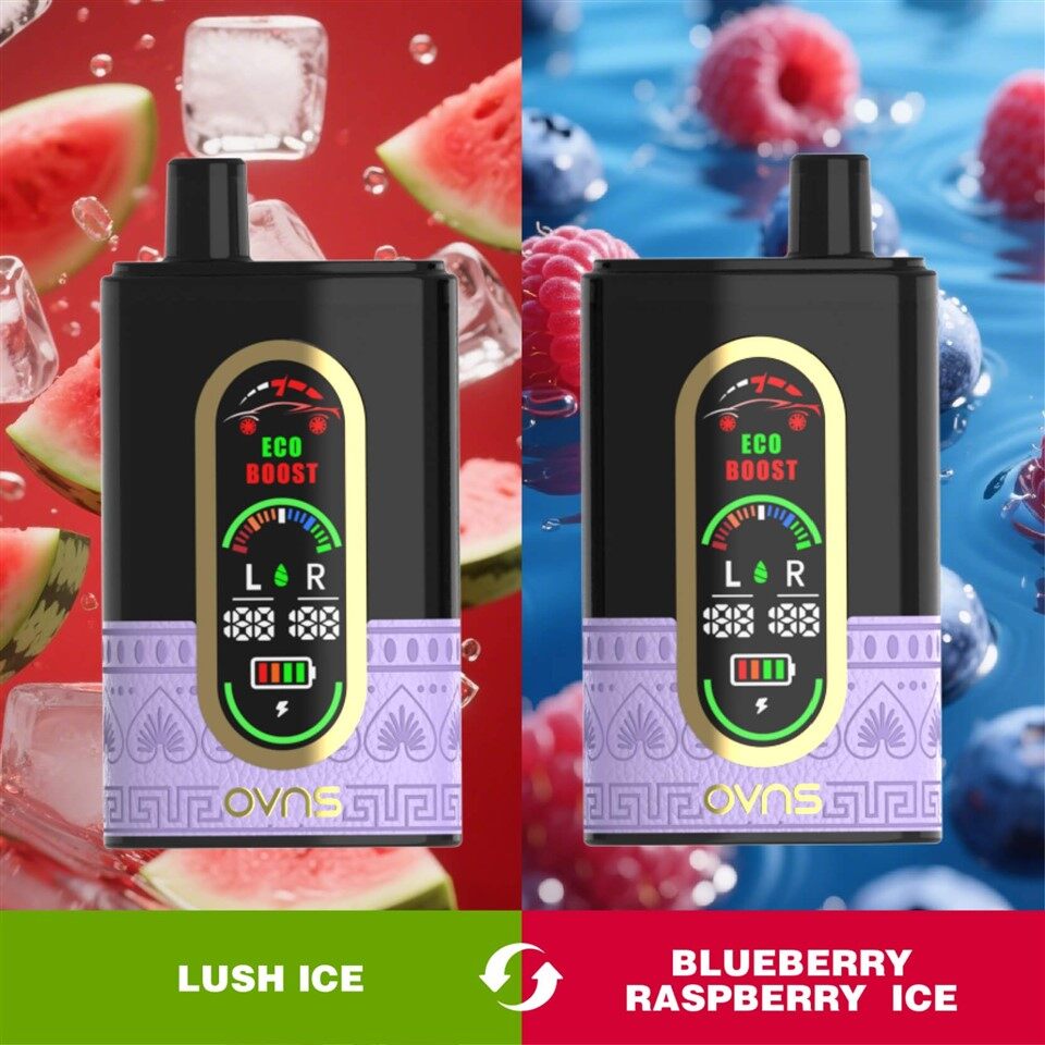 Ovns Hookahbar Interruptor De Doble Sabor 2 En 1 DTL 50000 Bocanadas Desechvape Pen factory