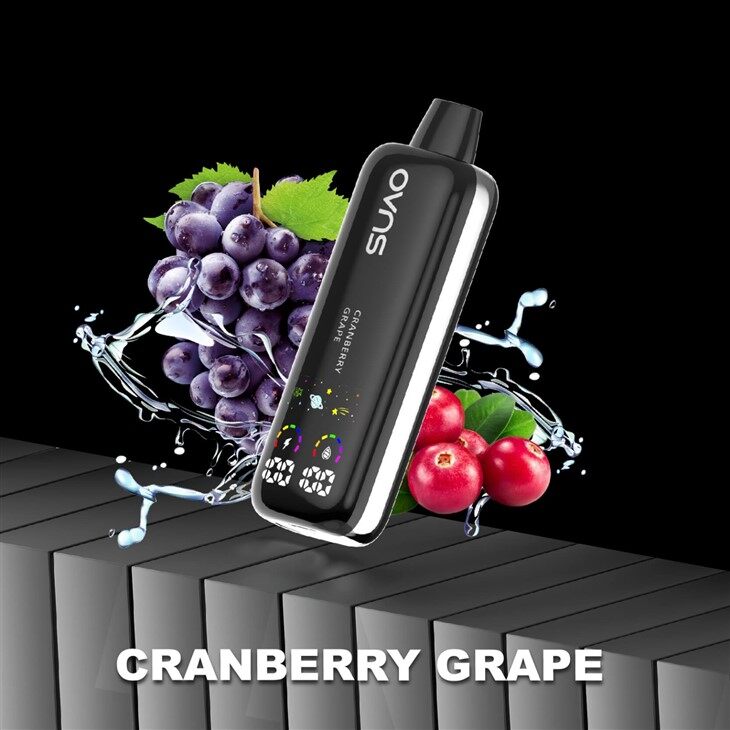 OVNS Mesh 16D 12k Puffs Disposable Vape Device