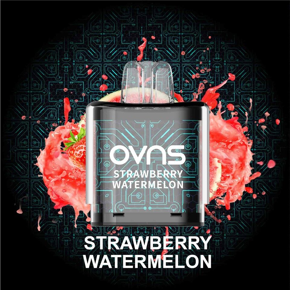 8000 Puffs POD Vapes נטענים