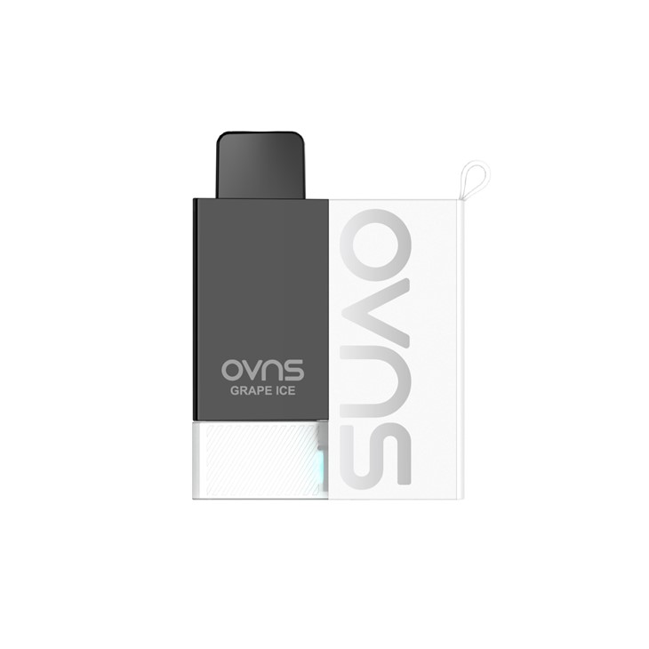 Presentación Del Vape Pod OVNS JC01 2026 suppliers