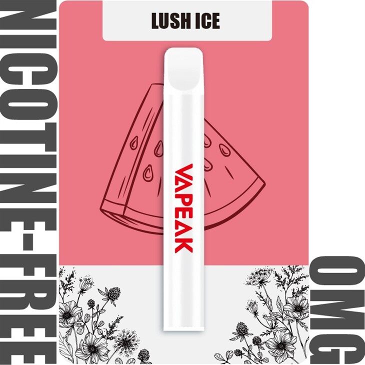 Sabores De Frutas 600 Inhalaciones 0 Nicotina Vape Desechable