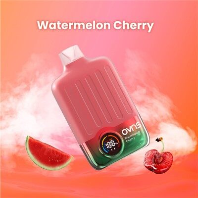 16k Sopla Vaporizador Desechable De Nicotina Pura Con Sabor A Fruta