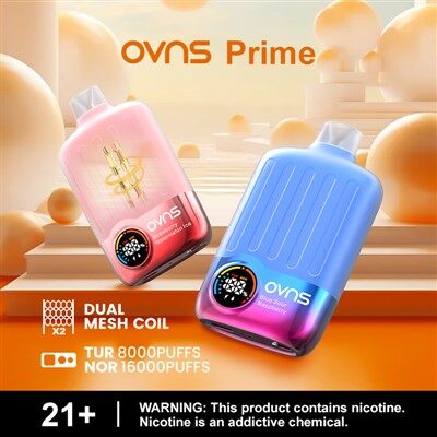 Vaina De Vape Del Sabor De La Fruta De 16000 Soplos