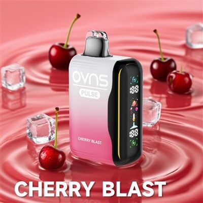 Μπαταρία ατμού μίας χρήσης και ηλεκτρονική ένδειξη υγρού 10000 Puffs Ρυθμιζόμενη ροή αέρα