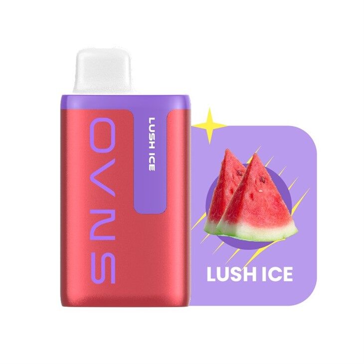 Vape Desechable 10000 Bocanadas Flujo De Aire Ajustable Indicador De Batería Y Líquido Electrónico