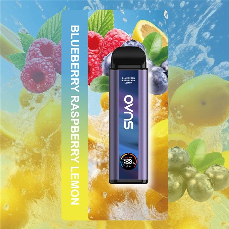 Vape Disponible Recargable De Los Sabores De Fruta De 10000 Soplos