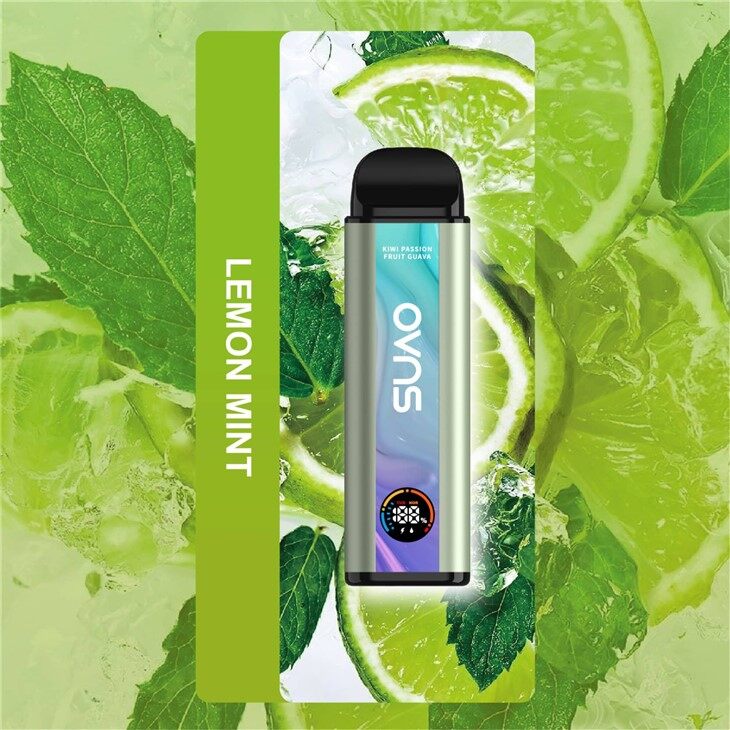 Vape Disponible Recargable De Los Sabores De Fruta De 10000 Soplos