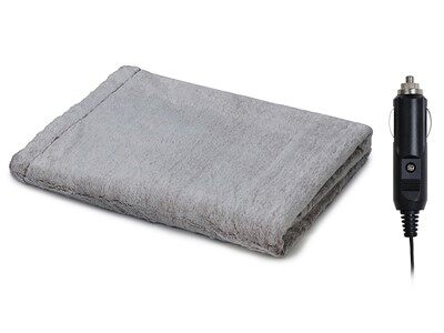 Low Voltage Electric Blanket