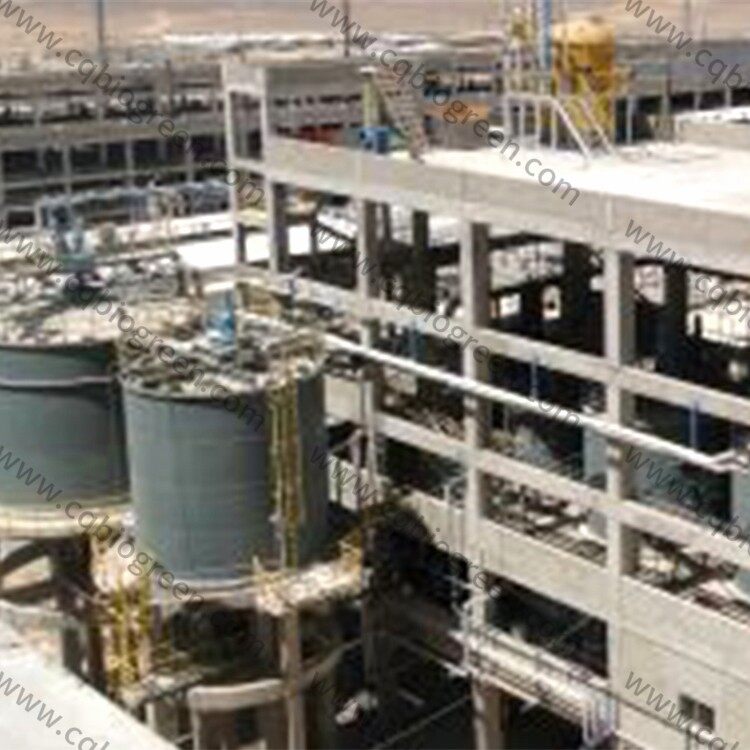dicalcium phosphate production plant design