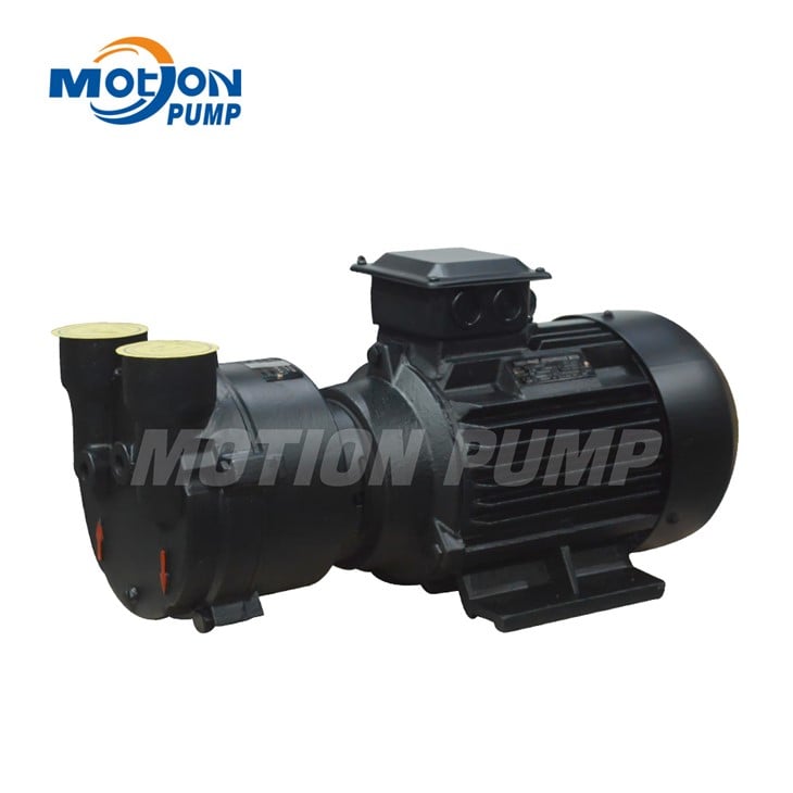 LRVP2071 Pompe à vide à anneau liquide Pompe à vide