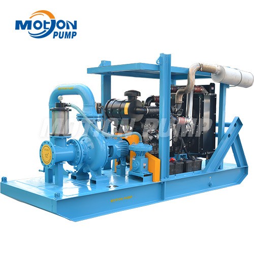MP (2)