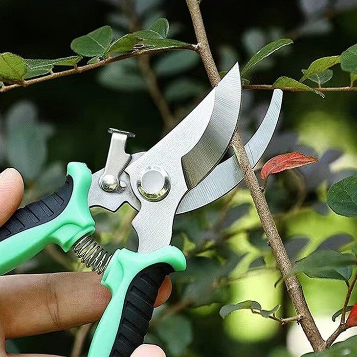 Plastic Handle Pruner-5