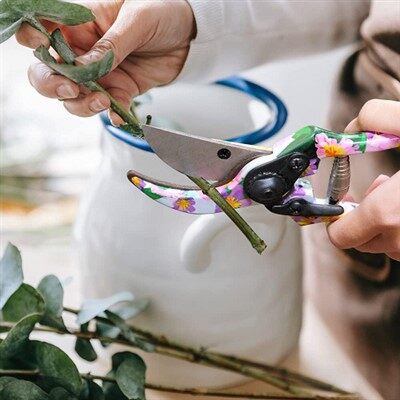 Sovg'a qutisi bilan 4 dona bog 'asboblari to'plami