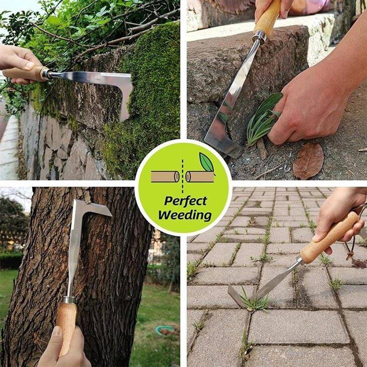 Stainless Steel Garden Plant Remover-2(001)