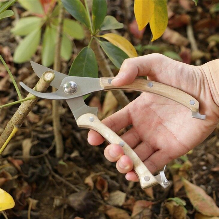 Stainless Steel Garden Pruner-4