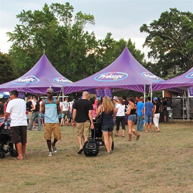 Pagoda Canopy Tent-3