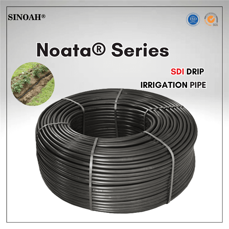 地下点滴灌漑パイプ（SDI）