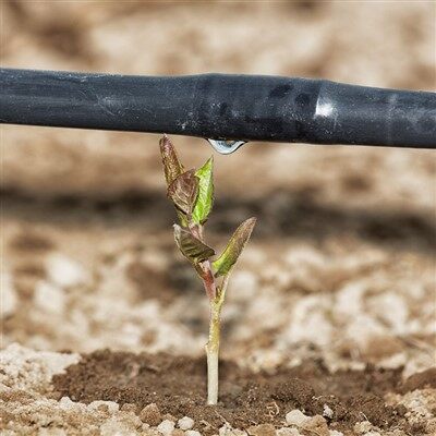 16mm 圧力補償ドリップテープ PC200