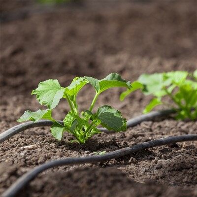 20mm 圧力補償ドリップテープ PC100