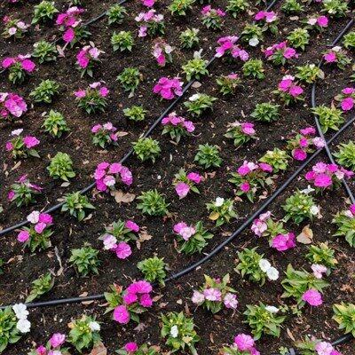 庭の水やり用点滴灌漑パイプ