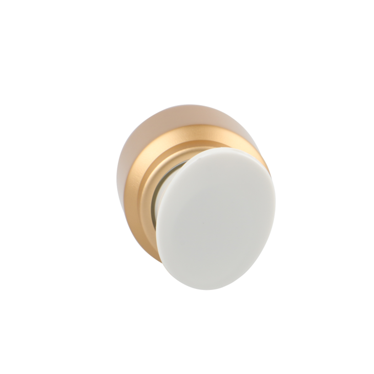 gold treatment pump 2