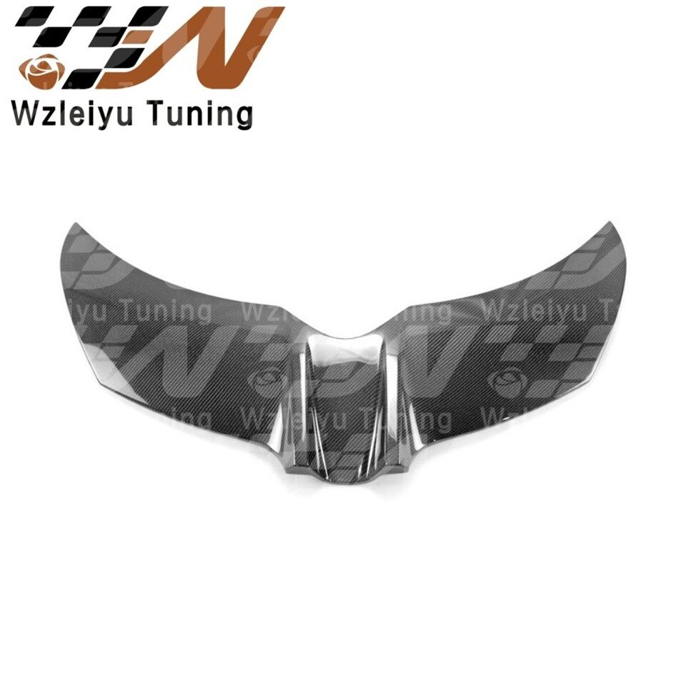 OEM Style Carbon Fiber Hood Decoration Trim Fit For Lotus Exige S3 Elise Fitment suppliers