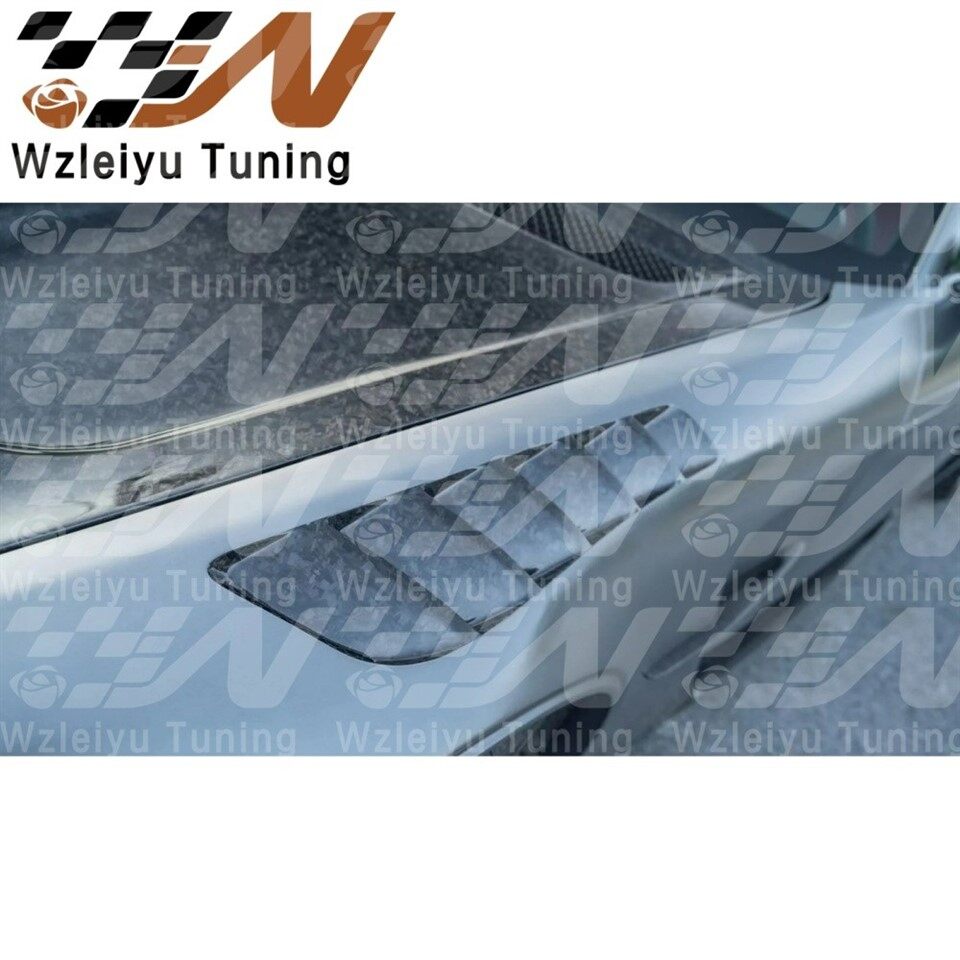 Portion Carbon Fiber Front Fenders Fit For Mercedes Benz AMG GTS GTC GTR Pro C190 suppliers