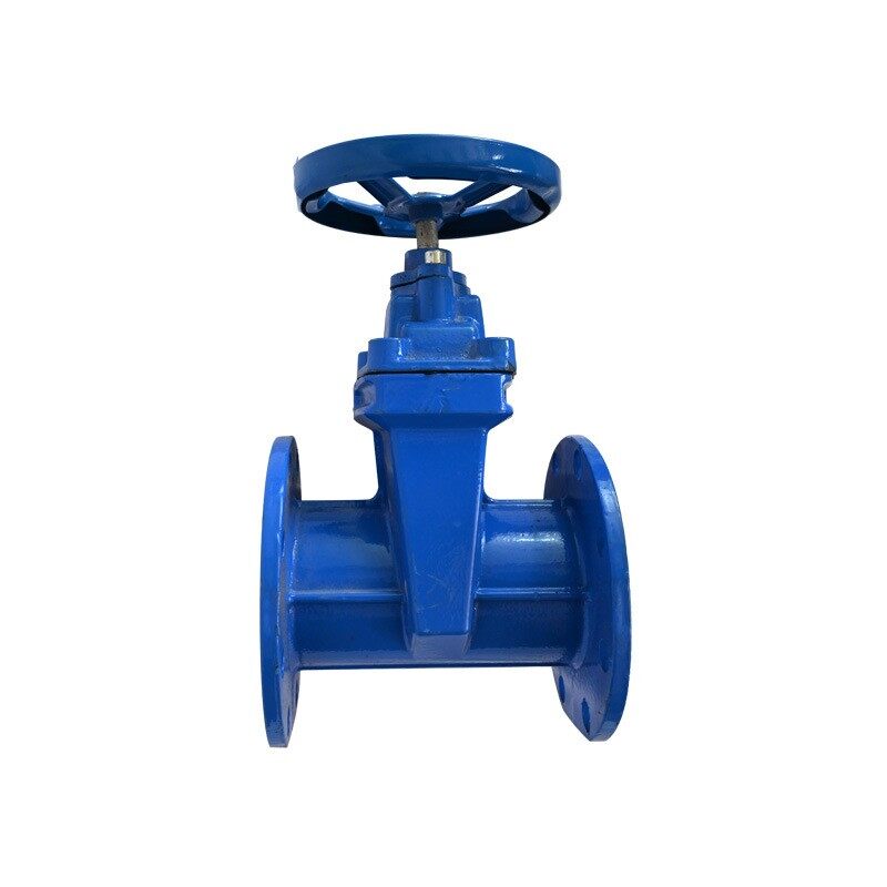 Flange Soft Seal Gate Valve