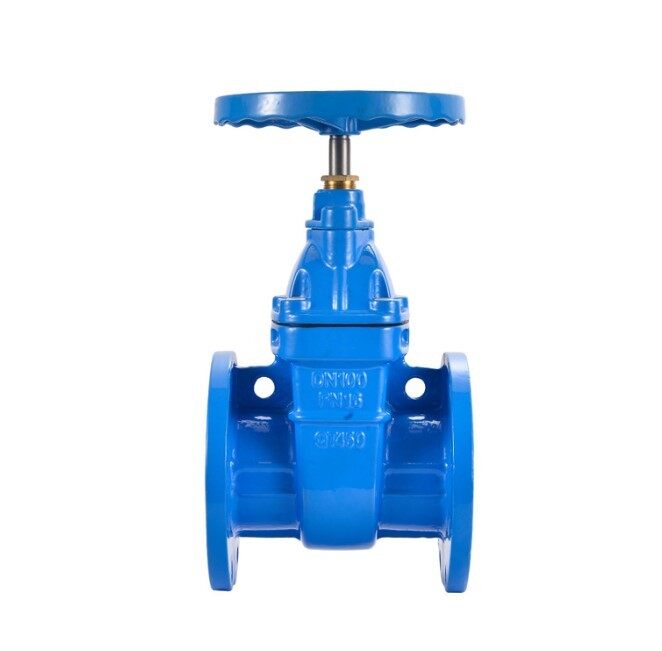 Non Rising Stem Valve Corrosion Protection