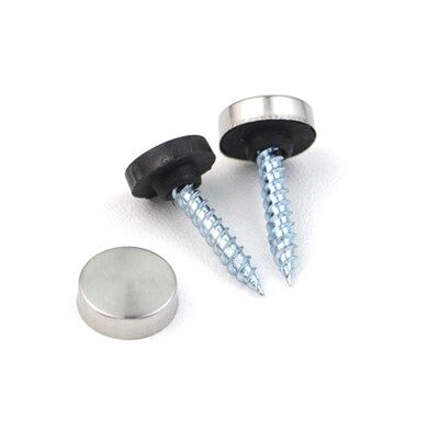 High Quality Stainless Steel Mirror Screws