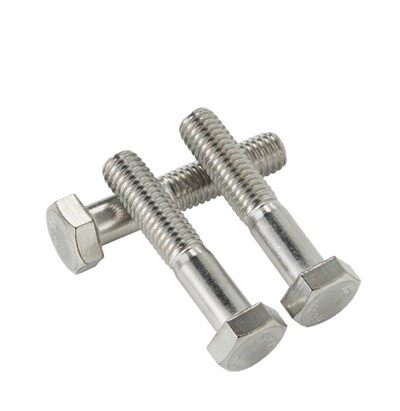 M6x20 Zeskantbout Corrosiebestendig