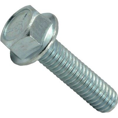 Bolt Bebibir Bergerigi