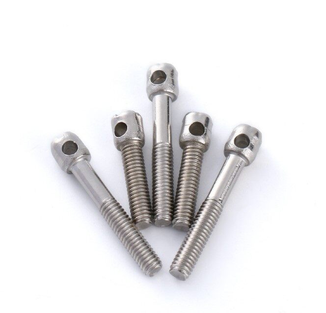 Stainless Steel 304 Lead Seal Bolt