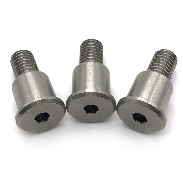 Stainless Steel Ladder Bolt
