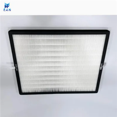 HEPA Carbon Filter