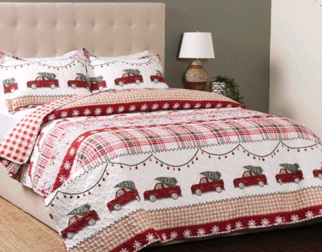 Christmas Series Printed Quilt Set