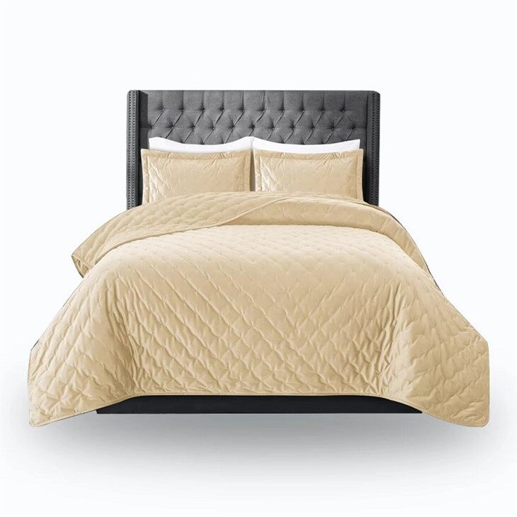 Luxury Embroidered Velvet Quilt Set-Beige