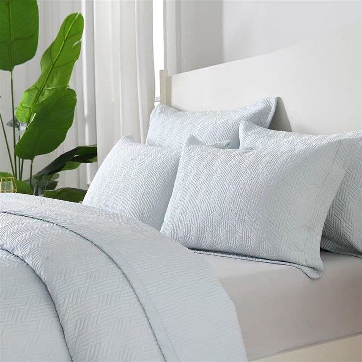 Solid Embroidered Cotton Quilt Set-Light Blue