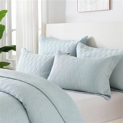 Ensemble de courtepointe brodé bleu