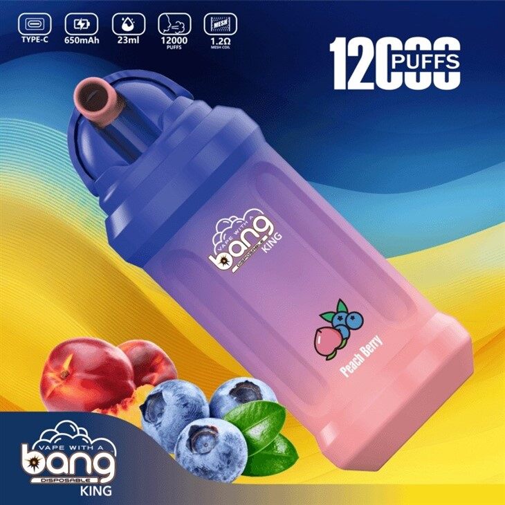 Bang King 12000 Puffs
