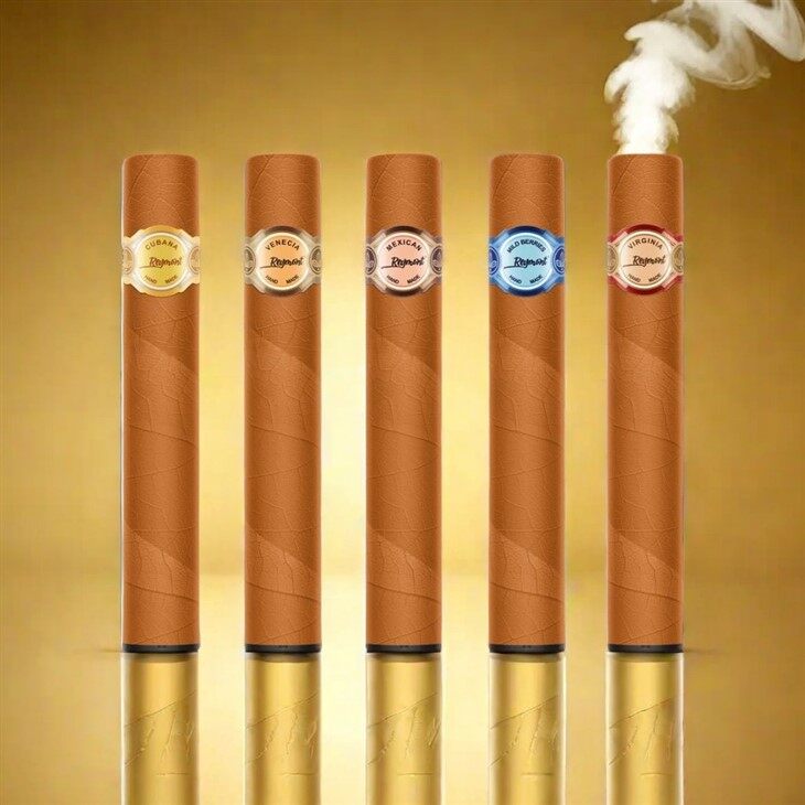 Reymont Elite Cigar 2500 (3)~1