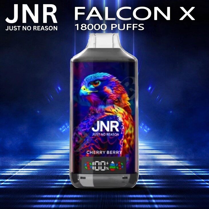 Eagle Totem JNR Falcon 18000 Disposable Vape